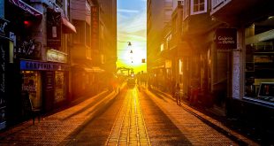 استراتژی های برتر موتورهای جستجو